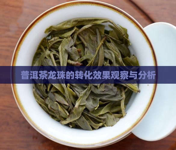 普洱茶龙珠转化效果