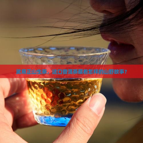 武易正山生茶普洱茶