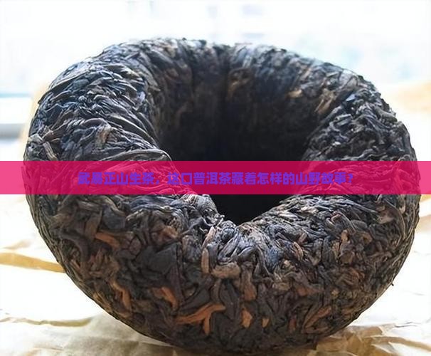武易正山生茶普洱茶
