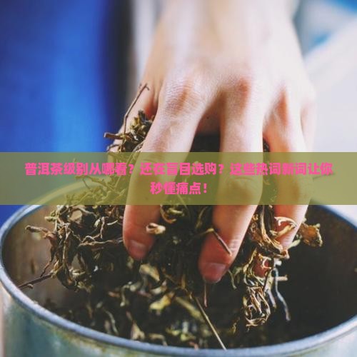 普洱茶级别从哪看
