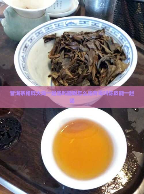 普洱茶和胖大海一起泡吗 普洱茶和胖大海一起泡吗