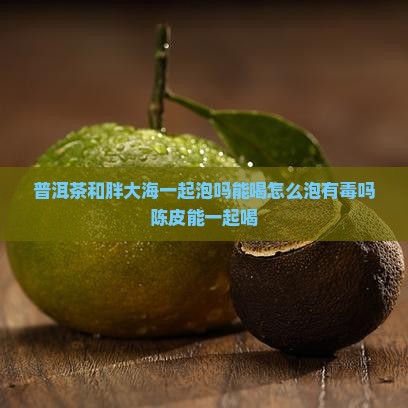 普洱茶和胖大海一起泡吗 普洱茶和胖大海一起泡吗