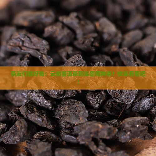 云南普洱茶属于什么类型茶