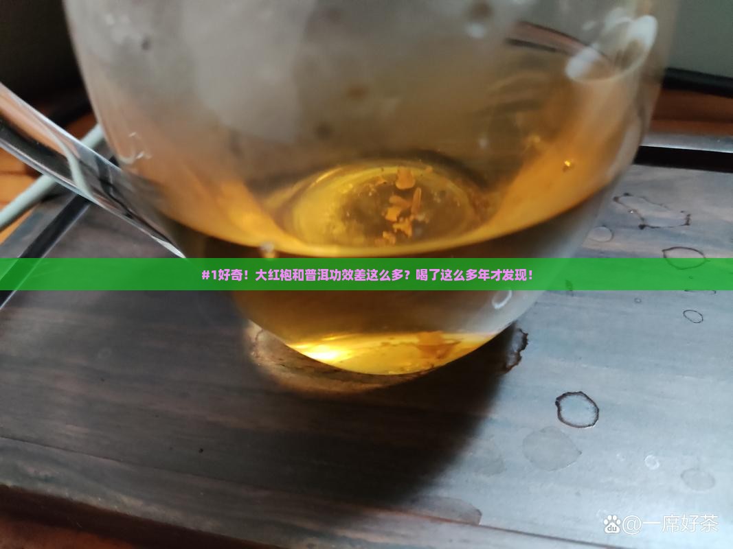 大红袍和普洱功效有什么区别