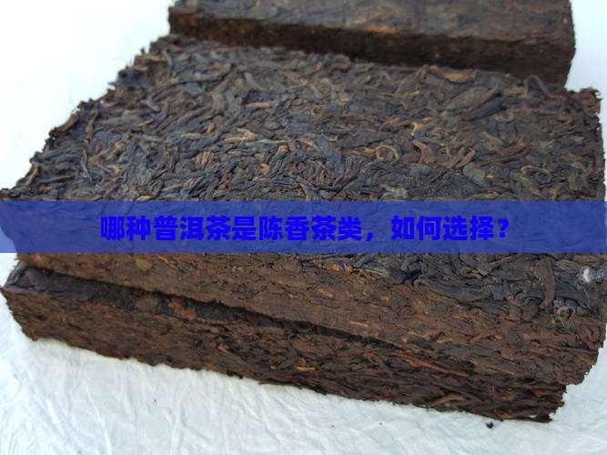 哪种普洱茶是陈香茶类 哪种普洱茶是陈香茶类