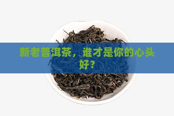 新老普洱茶营养