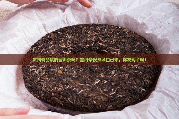 贺州有品质的普洱茶吗