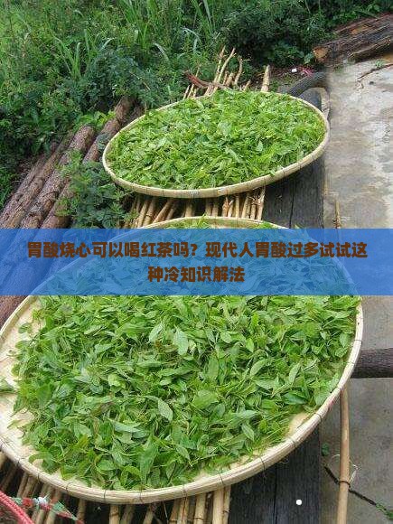 胃酸烧心可以喝红茶吗