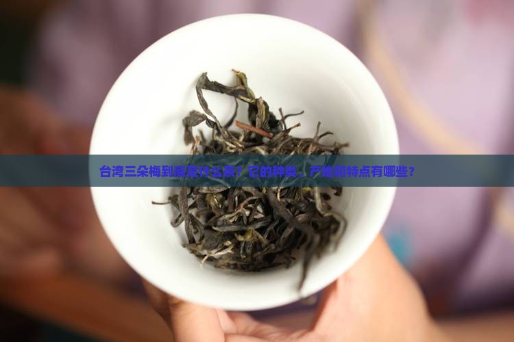 台湾三朵梅是什么茶
