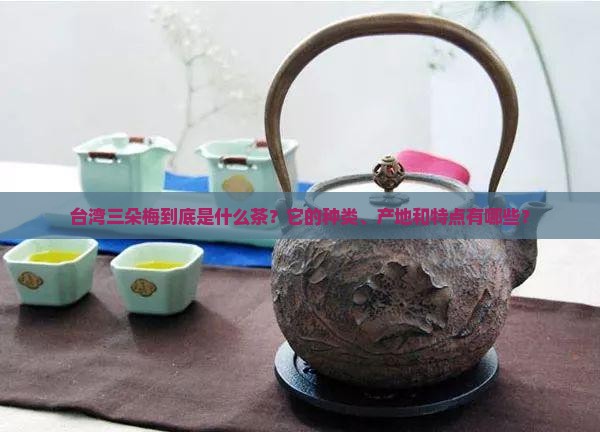 台湾三朵梅是什么茶