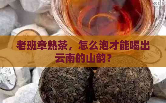 云南老班章熟茶泡茶手法
