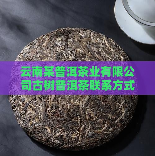 哪里有古树普洱茶联系方式