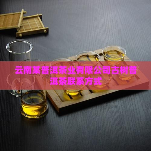 哪里有古树普洱茶联系方式