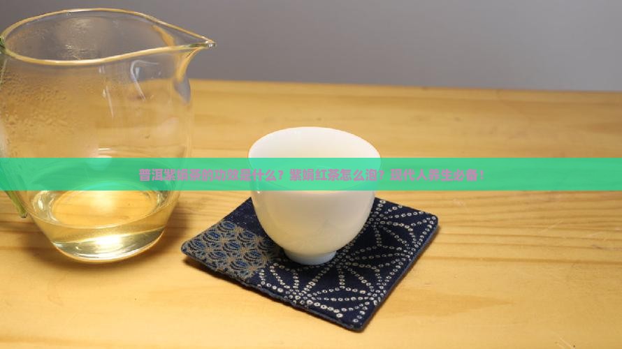 普洱紫娟茶的功效紫娟红茶怎么泡