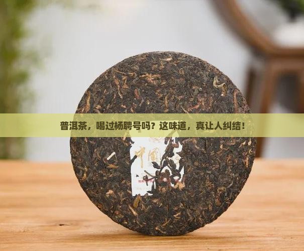 普洱茶好不好杨聘号