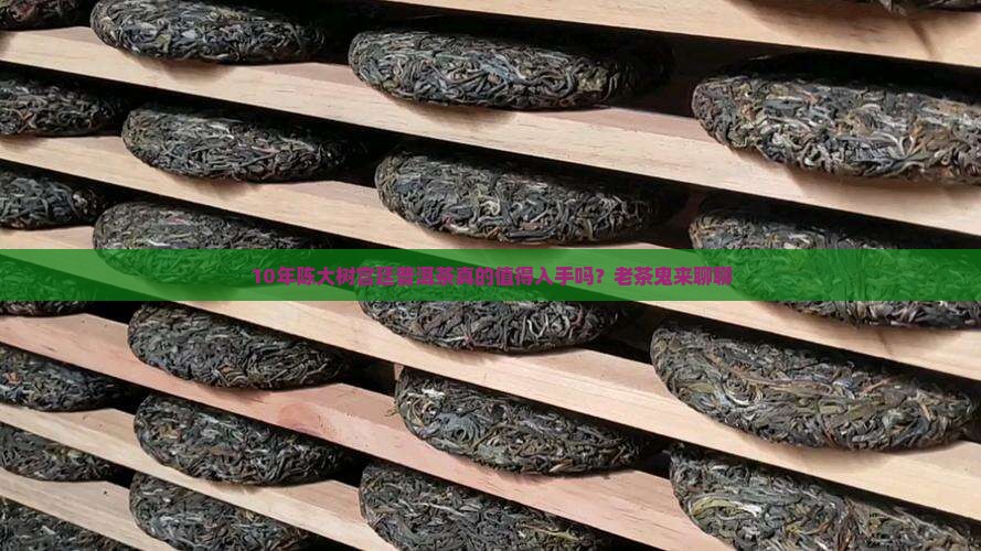 大树宫廷普洱茶好吗