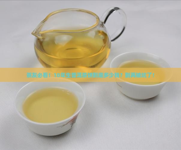 10年生普洱茶饼价格