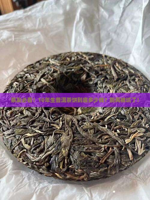 10年生普洱茶饼价格