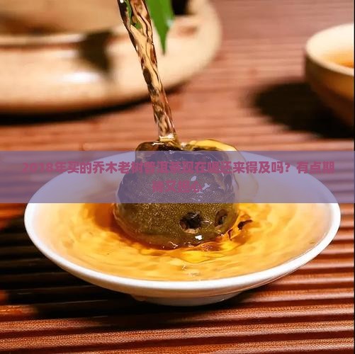 乔木老树普洱茶2018