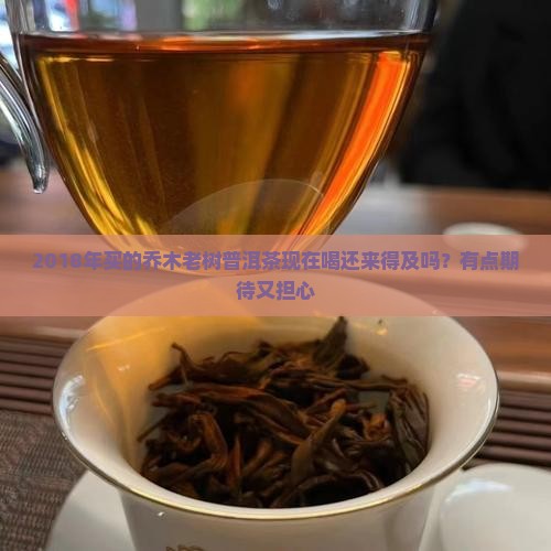 乔木老树普洱茶2018