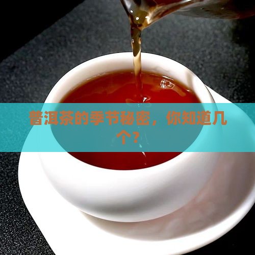 普洱茶的产茶季节