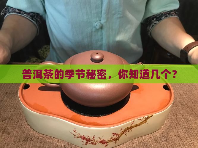 普洱茶的产茶季节