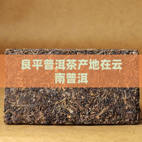 良平普洱茶产地在哪里