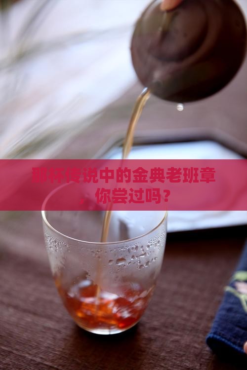 金典茶业老班章