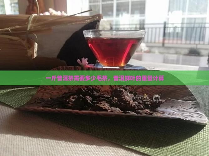 一斤普洱茶需要多少毛料
