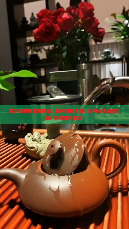 陈升精品普洱茶茯茶