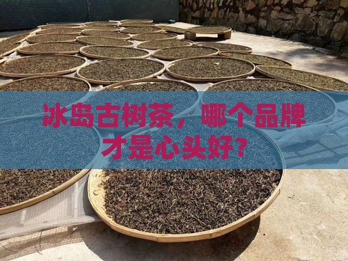 冰岛古树茶品牌排行榜