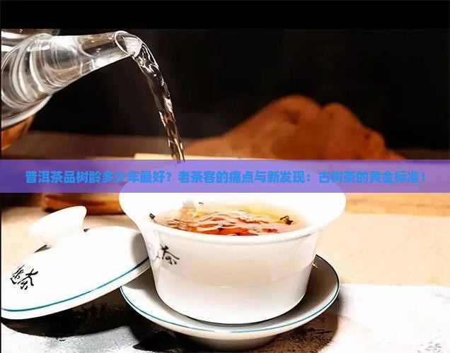 普洱茶品树龄多少年最好