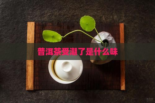 普洱茶回潮了是什么味
