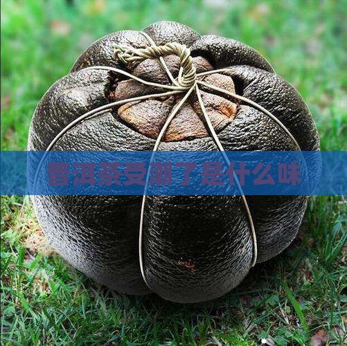 普洱茶回潮了是什么味