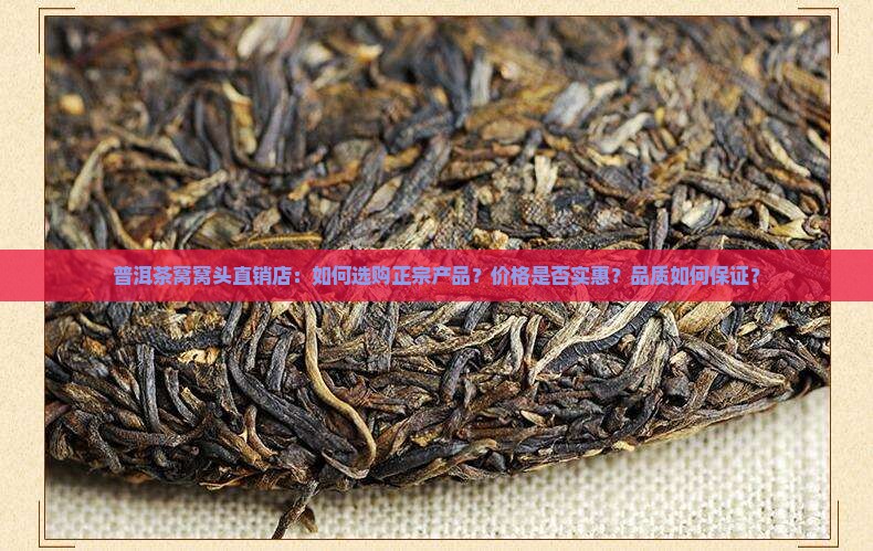 普洱茶窝窝头直销店