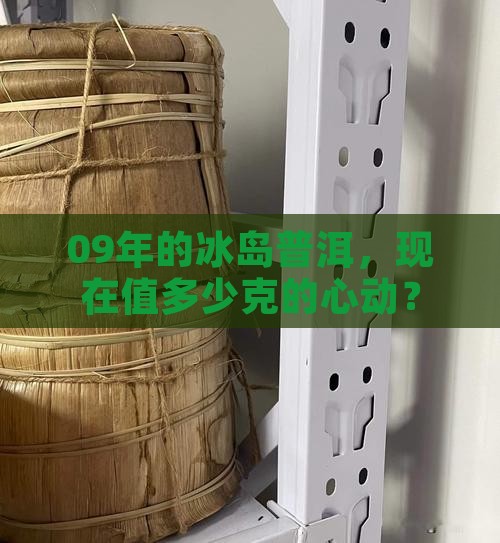 09年冰岛普洱茶多少钱一克