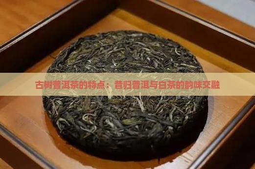 古董品白茶普洱茶昔归的特点