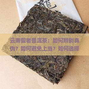 云南假老普洱茶