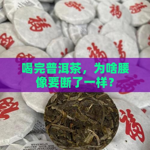 喝普洱茶腰疼什么原因 喝普洱茶腰疼什么原因
