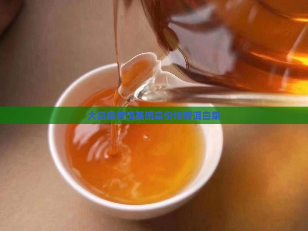 老班章大白菜什么价
