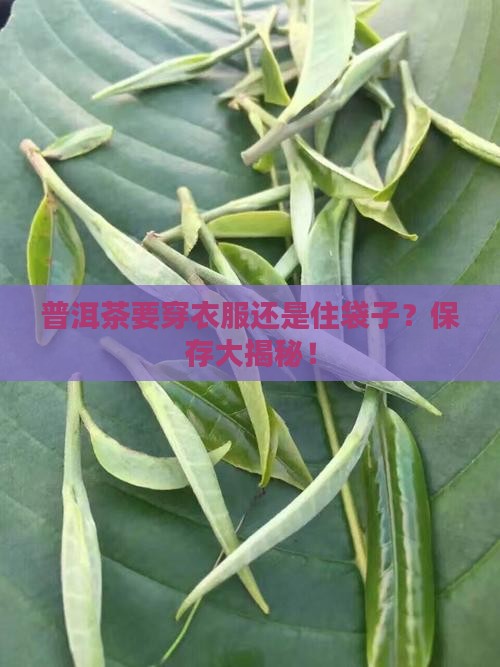 普洱茶保存用装袋或包膜