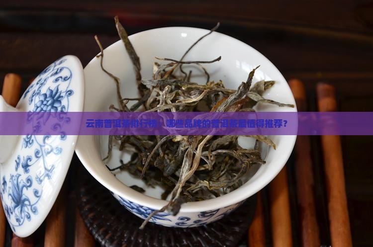哪的糯米普洱茶好