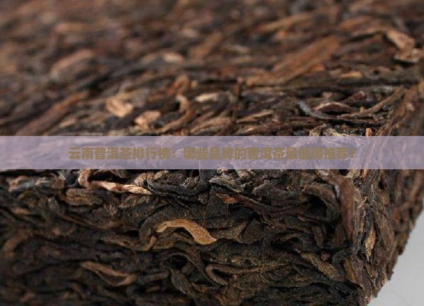 哪的糯米普洱茶好
