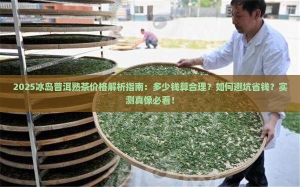 冰岛普洱熟茶价格一般什么价格