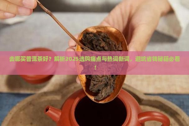 去哪买普洱茶好