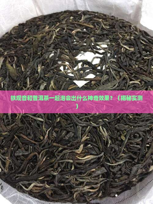 铁观音与普洱茶一起泡