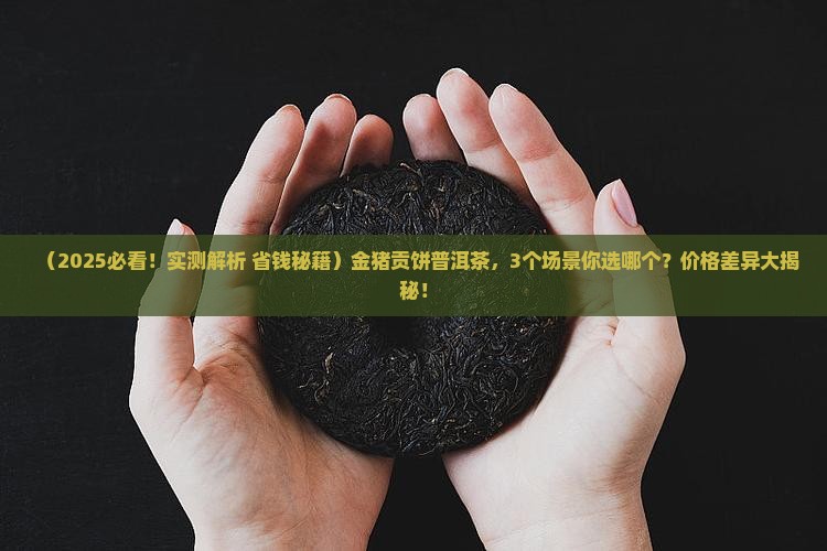 金猪贡饼普洱茶