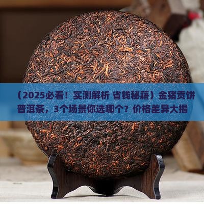 金猪贡饼普洱茶