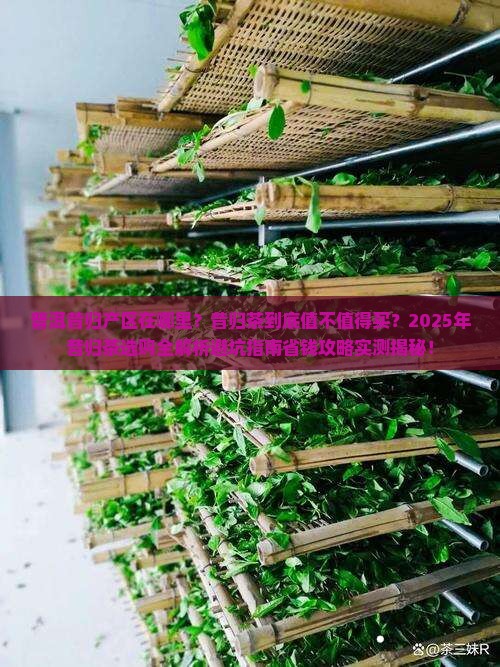 普洱昔归产区在哪里