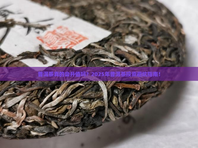 普洱茶升值逻辑